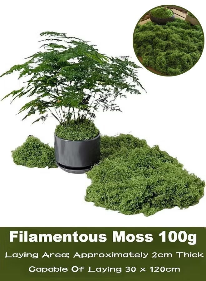100g Moss Grass Perfectly Simulates Artificial Moss Fake Green Grass for Centerpieces Home Kitchen Garden Decor Preserved Forest Moss - Image 1